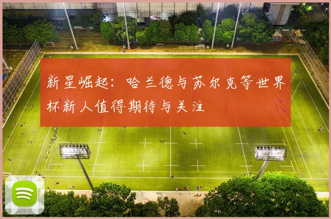 新星崛起：哈兰德与苏尔克等世界杯新人值得期待与关注